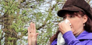 Jetzt beginnt wieder die Leidenszeit für Allergiker in Flensburg Jetzt beginnt wieder die Leidenszeit für Allergiker in Flensburg