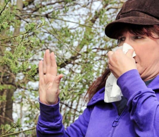 Jetzt beginnt wieder die Leidenszeit für Allergiker in Flensburg Jetzt beginnt wieder die Leidenszeit für Allergiker in Flensburg