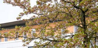 Das Nachbarschaftszentrum – beliebter Veranstaltungsort in Mürwik Das Nachbarschaftszentrum – beliebter Veranstaltungsort in Mürwik