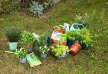 Tipps zur Gartensaison: Pflanztöpfe, Verpackungen und andere Gartenabfälle richtig entsorgen Tipps zur Gartensaison: Pflanztöpfe, Verpackungen und andere Gartenabfälle richtig entsorgen