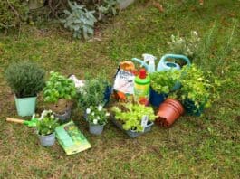 Tipps zur Gartensaison: Pflanztöpfe, Verpackungen und andere Gartenabfälle richtig entsorgen Tipps zur Gartensaison: Pflanztöpfe, Verpackungen und andere Gartenabfälle richtig entsorgen