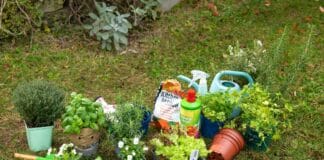 Tipps zur Gartensaison: Pflanztöpfe, Verpackungen und andere Gartenabfälle richtig entsorgen Tipps zur Gartensaison: Pflanztöpfe, Verpackungen und andere Gartenabfälle richtig entsorgen