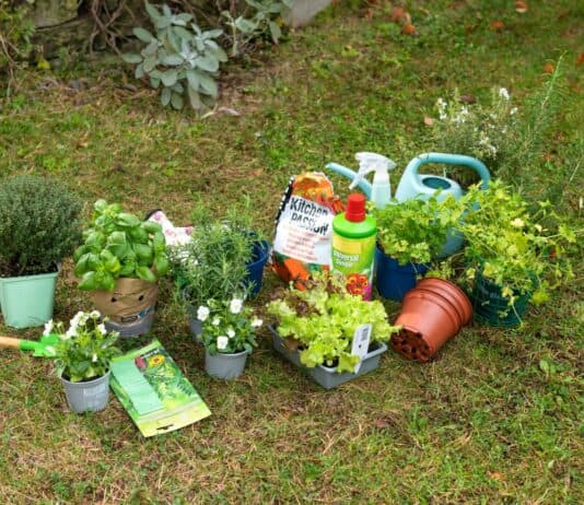 Tipps zur Gartensaison: Pflanztöpfe, Verpackungen und andere Gartenabfälle richtig entsorgen Tipps zur Gartensaison: Pflanztöpfe, Verpackungen und andere Gartenabfälle richtig entsorgen