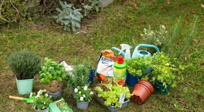 Tipps zur Gartensaison: Pflanztöpfe, Verpackungen und andere Gartenabfälle richtig entsorgen Tipps zur Gartensaison: Pflanztöpfe, Verpackungen und andere Gartenabfälle richtig entsorgen