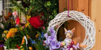 Frühling, der das Herz bewegt: Die Marktsaison in Schleswig-Holstein beginnt Frühling, der das Herz bewegt: Die Marktsaison in Schleswig-Holstein beginnt