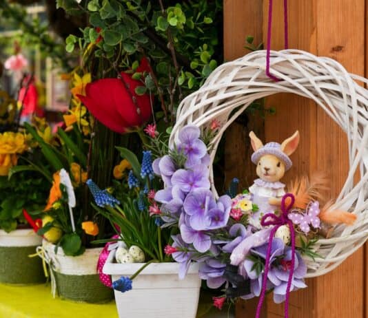 Frühling, der das Herz bewegt: Die Marktsaison in Schleswig-Holstein beginnt Frühling, der das Herz bewegt: Die Marktsaison in Schleswig-Holstein beginnt