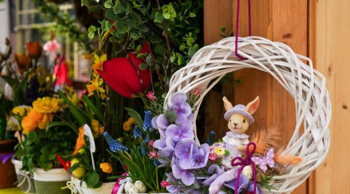 Frühling, der das Herz bewegt: Die Marktsaison in Schleswig-Holstein beginnt Frühling, der das Herz bewegt: Die Marktsaison in Schleswig-Holstein beginnt