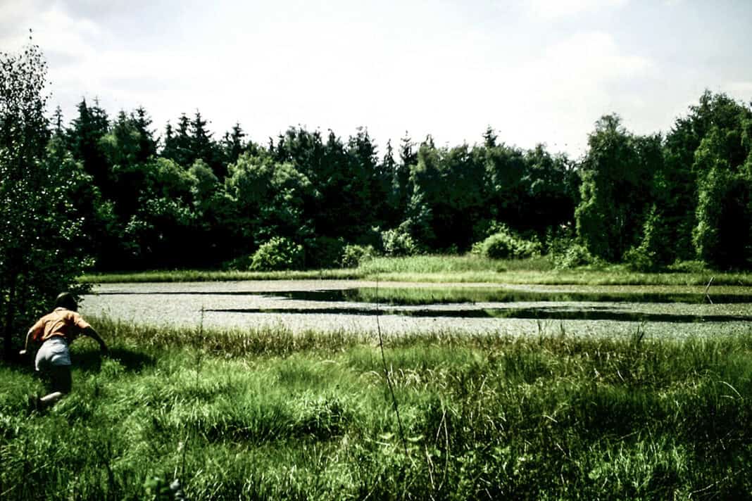 Geheimnisse des Mückenwaldes, Teil 7