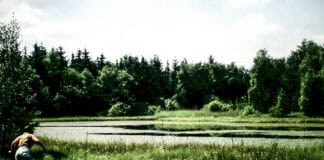 Geheimnisse des Mückenwaldes, Teil 7 Geheimnisse des Mückenwaldes, Teil 7