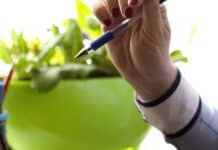 Vom Papierhafen zur Cloud-Werft: Der digitale Wandel in Flensburgs Geschäftswelt Vom Papierhafen zur Cloud-Werft: Der digitale Wandel in Flensburgs Geschäftswelt