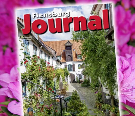Juni-Ausgabe jetzt online!