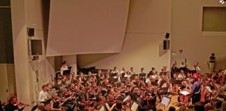 Konzert des Hochschulorchesters Flensburg e. V. Konzert des Hochschulorchesters Flensburg e. V
