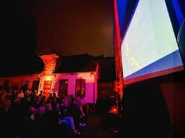 Flensburger Hofkultur 2026: Kurzfilme im Hof Flensburger Hofkultur 2026: Kurzfilme im Hof