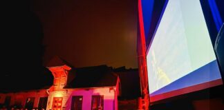 Flensburger Hofkultur 2026: Kurzfilme im Hof Flensburger Hofkultur 2026: Kurzfilme im Hof