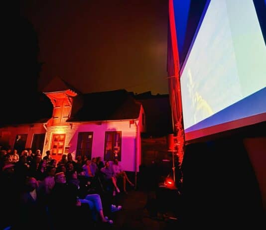 Flensburger Hofkultur 2026: Kurzfilme im Hof Flensburger Hofkultur 2026: Kurzfilme im Hof