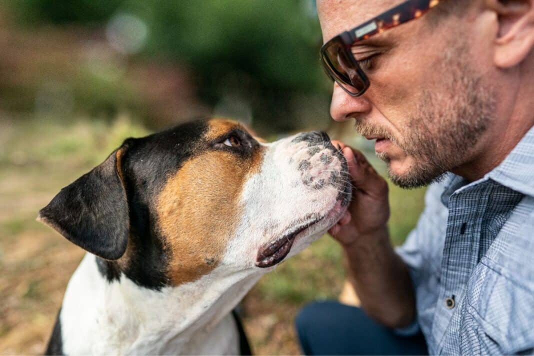 Ist mein Hund bereit für einen Tiersitter? / Die fünf entscheidenden Anzeichen für mehr Sicherheit beim ersten Tiersitter-Einsatz Ist mein Hund bereit für einen Tiersitter?