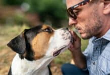 Ist mein Hund bereit für einen Tiersitter? Ist mein Hund bereit für einen Tiersitter?
