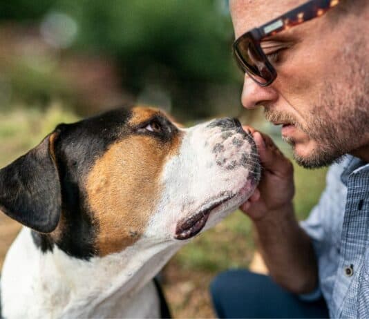 Ist mein Hund bereit für einen Tiersitter? Ist mein Hund bereit für einen Tiersitter?