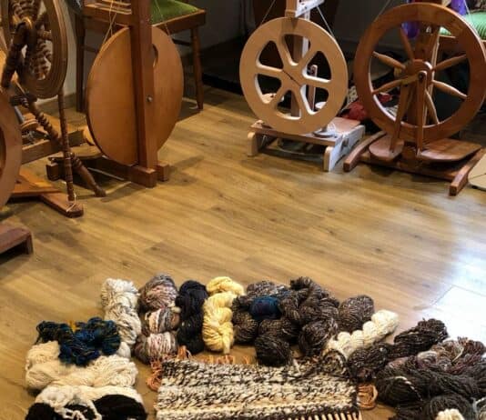 Spinnkurse mit Meike Timmer Spinnkurse mit Meike Timmer