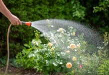 TÜV SÜD gibt Tipps zur modernen Gartenbewässerung TÜV SÜD gibt Tipps zur modernen Gartenbewässerung