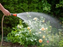 TÜV SÜD gibt Tipps zur modernen Gartenbewässerung TÜV SÜD gibt Tipps zur modernen Gartenbewässerung