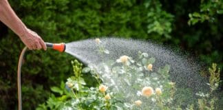 TÜV SÜD gibt Tipps zur modernen Gartenbewässerung TÜV SÜD gibt Tipps zur modernen Gartenbewässerung