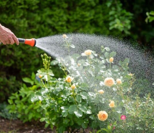 TÜV SÜD gibt Tipps zur modernen Gartenbewässerung TÜV SÜD gibt Tipps zur modernen Gartenbewässerung