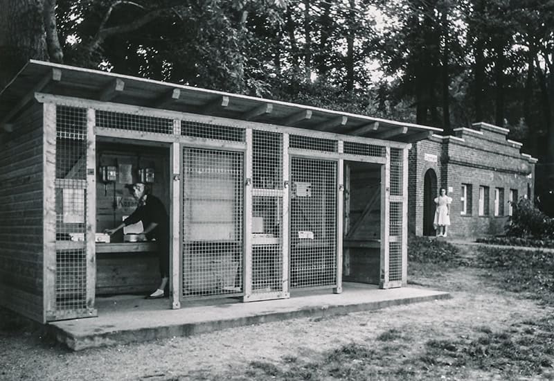 Das Strandbad Solitüde
