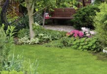 Kleiner Garten, großes Glück Kleiner Garten, großes Glück