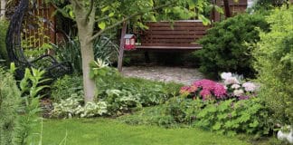 Kleiner Garten, großes Glück Kleiner Garten, großes Glück