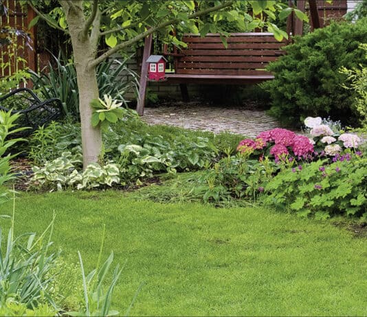 Kleiner Garten, großes Glück Kleiner Garten, großes Glück