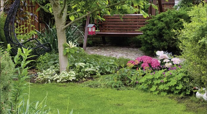 Kleiner Garten, großes Glück Kleiner Garten, großes Glück