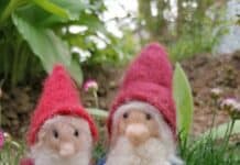Zwei neue Veranstaltungen im Sommerprogramm des NaturErlebnisZentrum Maasholm Zwei neue Veranstaltungen im Sommerprogramm des NaturErlebnisZentrum Maasholm