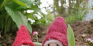 Zwei neue Veranstaltungen im Sommerprogramm des NaturErlebnisZentrum Maasholm Zwei neue Veranstaltungen im Sommerprogramm des NaturErlebnisZentrum Maasholm