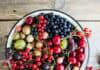 Beeren aus Wald und Feld: Erst waschen, dann naschen Beeren aus Wald und Feld: Erst waschen, dann naschen