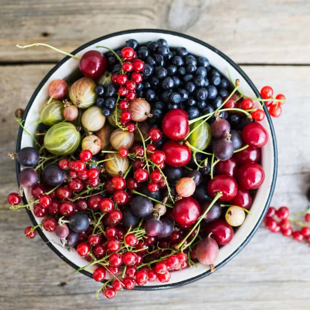 Beeren aus Wald und Feld: Erst waschen, dann naschen