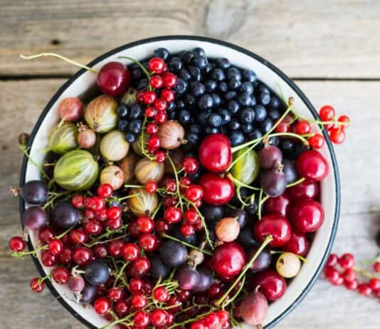 Beeren aus Wald und Feld: Erst waschen, dann naschen Beeren aus Wald und Feld: Erst waschen, dann naschen