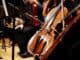 Kammerphilharmonie Köln – Kammerkonzert Kammerphilharmonie Köln – Kammerkonzert