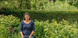 Profitipps zur Rasenpflege im Herbst Profitipps zur Rasenpflege im Herbst