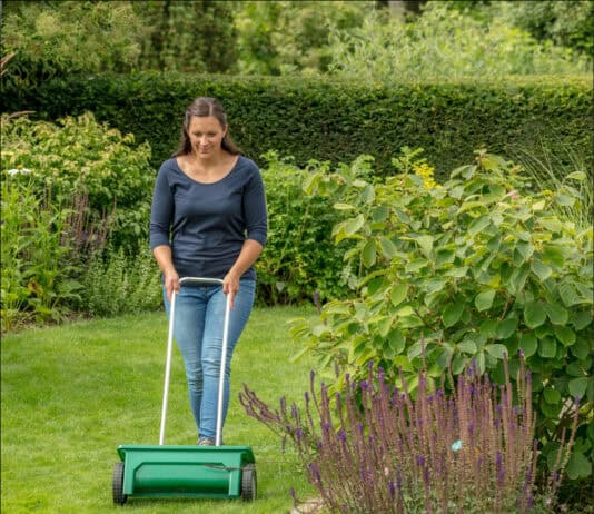 Profitipps zur Rasenpflege im Herbst Profitipps zur Rasenpflege im Herbst