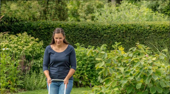 Profitipps zur Rasenpflege im Herbst Profitipps zur Rasenpflege im Herbst