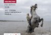 Internationale Pressefotografie vom 21. August bis 27. September 2026 in Flensburg Internationale Pressefotografie vom 21. August bis 27. September 2026 in Flensburg
