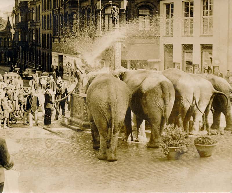 Der Nordermarkt – einer der beiden Flensburger Hauptmarktplätze