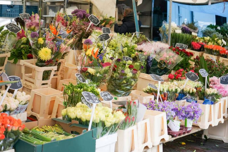 Sommerliche Städtereisen: Blumen, Märkte und Gastgeschenke von Flensburg bis Niederösterreich