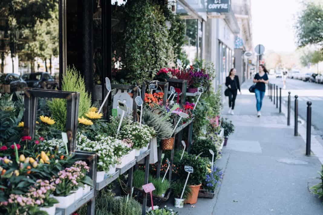 Sommerliche Städtereisen: Blumen, Märkte und Gastgeschenke von Flensburg bis Niederösterreich