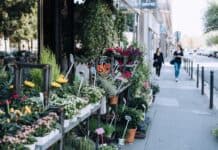 Sommerliche Städtereisen: Blumen, Märkte und Gastgeschenke von Flensburg bis Niederösterreich Sommerliche Städtereisen: Blumen, Märkte und Gastgeschenke von Flensburg bis Niederösterreich