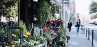 Sommerliche Städtereisen: Blumen, Märkte und Gastgeschenke von Flensburg bis Niederösterreich Sommerliche Städtereisen: Blumen, Märkte und Gastgeschenke von Flensburg bis Niederösterreich