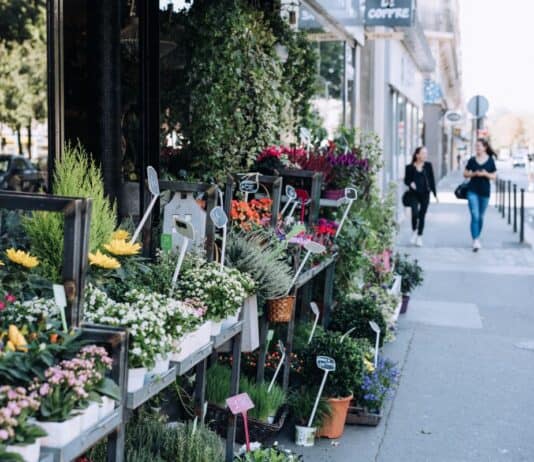 Sommerliche Städtereisen: Blumen, Märkte und Gastgeschenke von Flensburg bis Niederösterreich Sommerliche Städtereisen: Blumen, Märkte und Gastgeschenke von Flensburg bis Niederösterreich