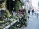 Sommerliche Städtereisen: Blumen, Märkte und Gastgeschenke von Flensburg bis Niederösterreich Sommerliche Städtereisen: Blumen, Märkte und Gastgeschenke von Flensburg bis Niederösterreich