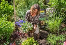 Mit Stauden das Gartenjahr genießen Mit Stauden das Gartenjahr genießen